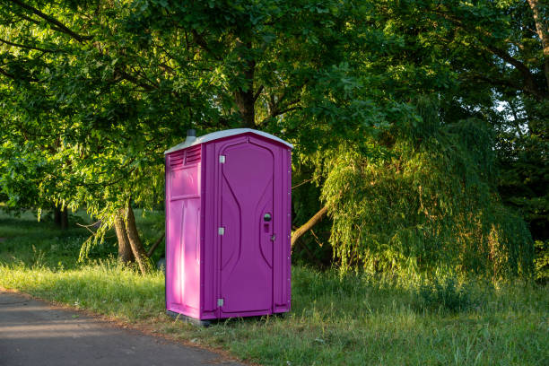 Best Sanitation services for porta potties  in River Grove, IL